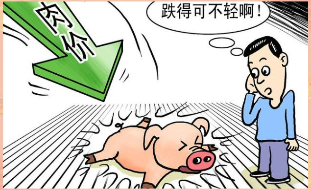 关于币安遭遇大幅下滑超21.86%，投资者恐慌性抛售的信息-九游体育官网