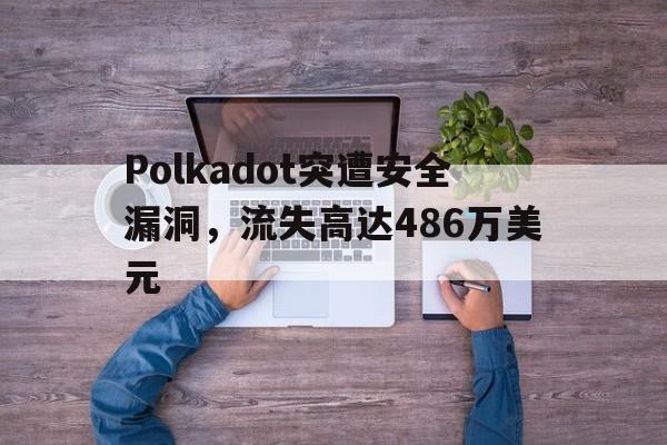 Polkadot突遭安全漏洞，流失高达486万美元-九游体育